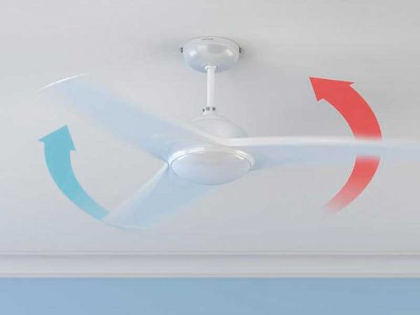 Cecotec - Cecotec Ventilador de Techo con Mando a Distancia, Temporizador y  Luz LED Energy